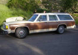 Ford Country Squire: американський сімейний канон