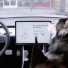Tesla розробила «собачий режим» для своїх машин