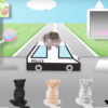 В Японії дорожній безпеці навчають навіть котів (відео)