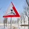 Небезпеки зимової дороги