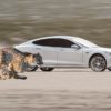 Tesla Model S и X получат «старт гепарда»