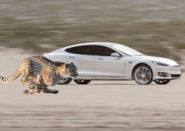 Tesla Model S і X отримає «старт гепарда»