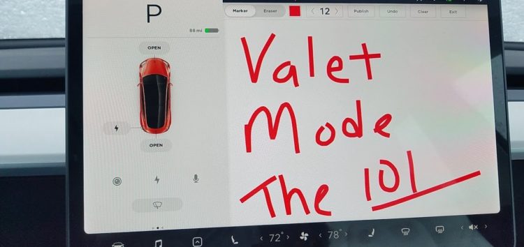 Власниця Tesla Model 3 налякала злодіїв додатком