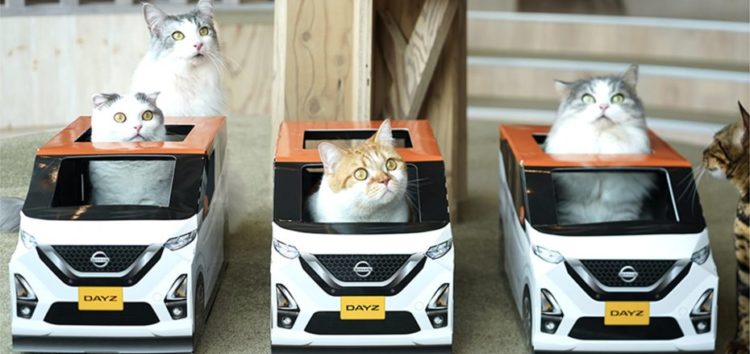 Nissan дарит котикам мини-автомобили