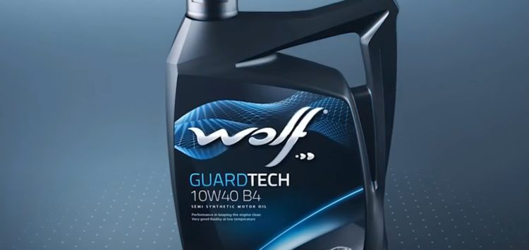 РОЗІГРАШ брендованого реглану WOLF! (відео)