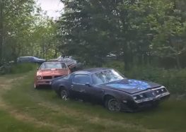 Знайдено покинуту колекцію американських автомобілів 70-х