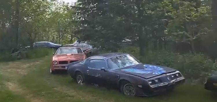 Знайдено покинуту колекцію американських автомобілів 70-х