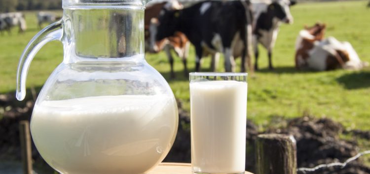 В США разработали инновационное топливо из молока