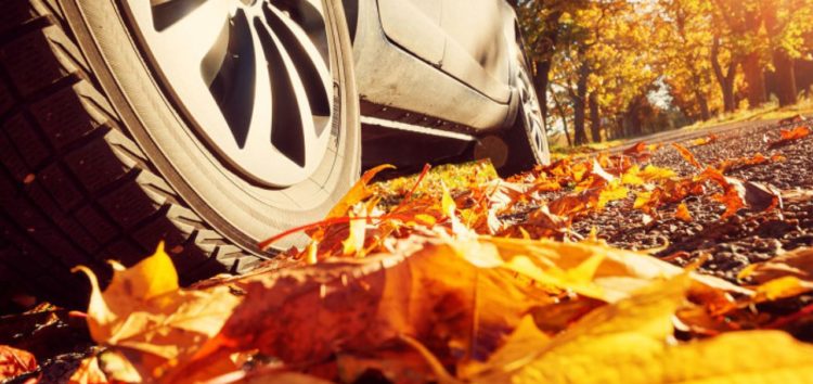 Як підготувати автомобіль до осені
