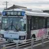 В Японії створять спеціальні смуги руху для безпілотного транспорту
