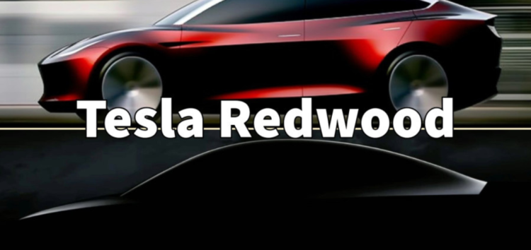 Tesla готує новий компактний електромобіль: що відомо про Tesla Model Q?