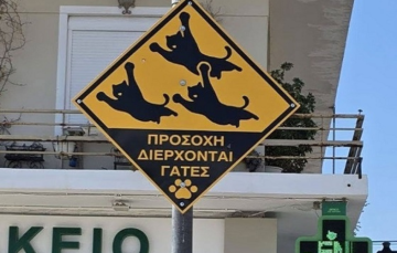 У Греції знайшли спосіб убезпечити котів від швидкісних водіїв