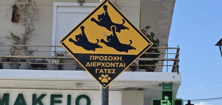 У Греції знайшли спосіб убезпечити котів від швидкісних водіїв